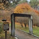 불로초등학교 체육관 이미지