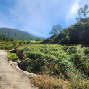 밤골경로당 이미지