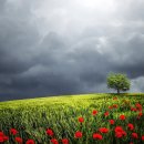 대원숯불막창 이미지