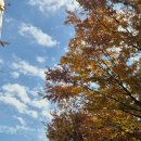 남다른감자탕구미인동점 | 구미 속눈썹펌 맛집 인동 가볼만한곳 뷰티써니 후기