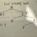 멘토영어학 p.29 c-command 질문 이미지