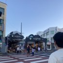 야자수 노래연습장 이미지