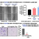 G00261 네이버블로그