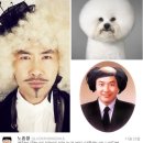 개랑나랑 한국경제TV
