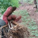 하루농장 이미지