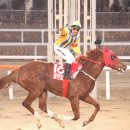 조이목장 이미지