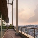 맹그로브 신설 이미지