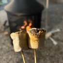 캠핑식당용지각길56 이미지