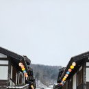 니지모리스튜디오