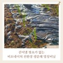동원부분정비 | 친환경 생분해 멀칭비닐 구멍 뚫기 비오네이쳐 사용 후기