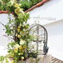마루flower 이미지