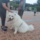 장터옛날통닭(울진점) 이미지