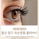 황방경로당 | 울산 중구 서동 속눈썹 펌 / 울산 속눈썹펌 추천 / 울산 블리아이 / 속눈썹펌 잘하는 곳 / 속눈썹펌 가격