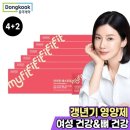 에스트로정 쇼핑하우