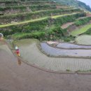 가천다랭이마을 이미지