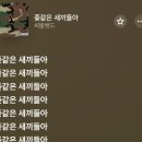 위시풀 이미지
