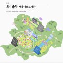 맑은숲작은도서관 | 청계천 야외도서관 책읽는 맑은냇가 위치 야간 운영 시간