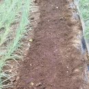 삼익농원 이미지