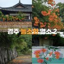 진평재 | 경주 능소화 명소 2 교촌마을, 동방역(폐역) 위치 및 개화 상황