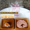 강릉샌드본점 이미지