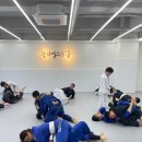 파라에스트라