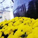 수원-0062 이미지