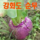 영인팜 이미지