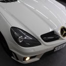 하단동171 이미지