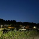 비에이치씨(bhc)수원능실점 | 국시 is open door~~~~🚪