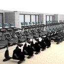 이즈 스포츠클럽 이미지