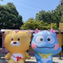 다잇다 | 양산 가볼만한곳 양산에다잇다잡화점 이벤트 참여 후기