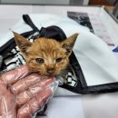 송정3교 이미지