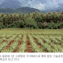 중간말농장 이미지