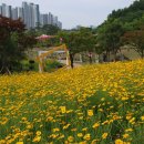 고인돌공원 Daum카페