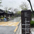 완산-58 | 20250501] (부럽지? 부녀여행) 전주 #7 전주한옥마을 길거리 간식 솔직 후기 - 오짱, 교동십원빵, 길거리야