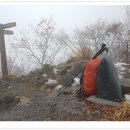 지리산 유아숲체험원 이미지