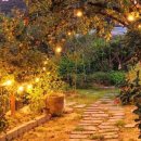 멍라이프 이미지