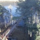 수레바퀴 이미지