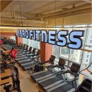 브로피트니스 이미지