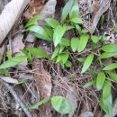 삼봉농원 이미지