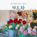 수원-0645 이미지