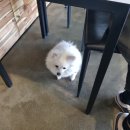 개스타하우스 이미지