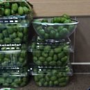 수지 토종농장 이미지