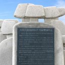 나라약품 이미지