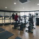 고구마 휘트니스 이미지