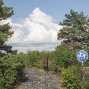 약천 산책로 이미지