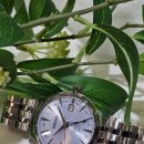 양지-3145 이미지