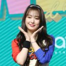 포토조아 이미지