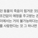 늘봄날 이미지