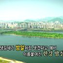 밤섬이야기